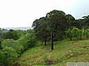 Scotland