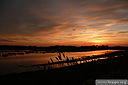 Sunsets